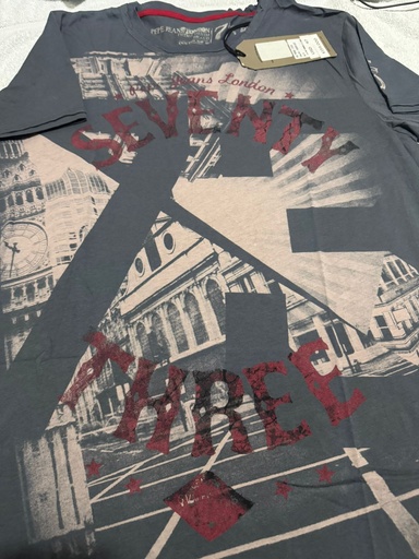 Camiseta Pepe Jeans Londres Gris talla M